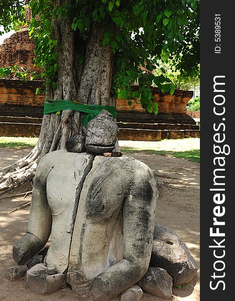 In Thailand the city of Ayutthaya was founded in 1350 today is an impressive archaeological park; here a view of the Wat Ratburana or Ratchaburana ruins built in 1424
; Here an ancient statue of Buddha. In Thailand the city of Ayutthaya was founded in 1350 today is an impressive archaeological park; here a view of the Wat Ratburana or Ratchaburana ruins built in 1424
; Here an ancient statue of Buddha