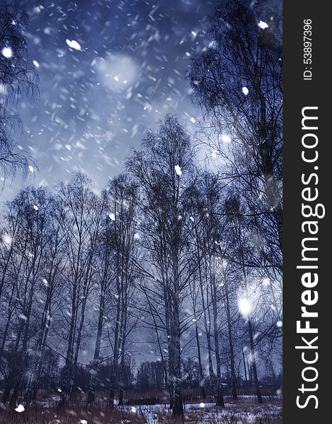 Snow storm in a forest, abstract winter background. Snow storm in a forest, abstract winter background.