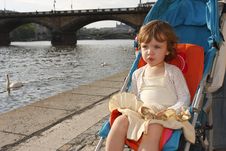 Watching The Swans Stock Images Watching The Swans Stock Images