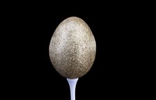 Golden Nest Egg On Tee With Clipping Path Royalty Free Stock Photography