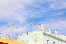 Antennas And Seagull Stock Photos Antennas And Seagull Stock Photos