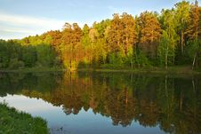 Lake In The Forest Royalty Free Stock Images Lake In The Forest Royalty Free Stock Images