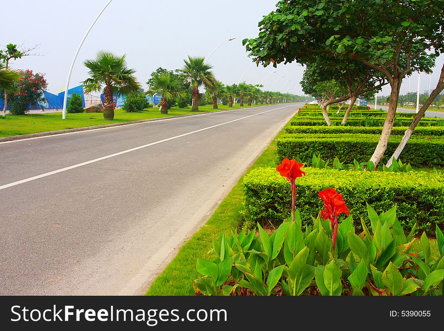 Plants Beyond Street