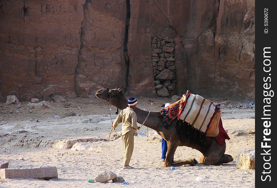 Seating Camel