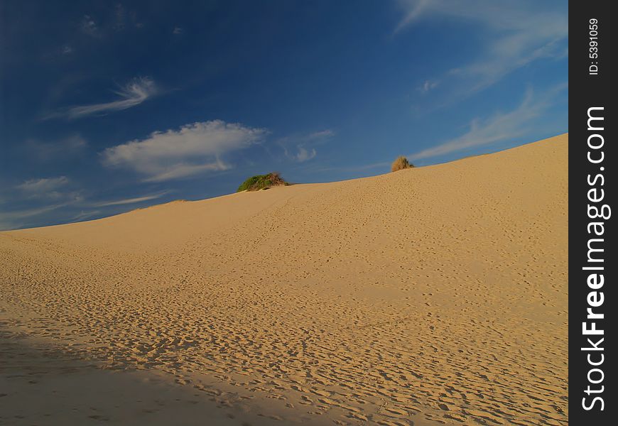 Cronulla Sand Dunes