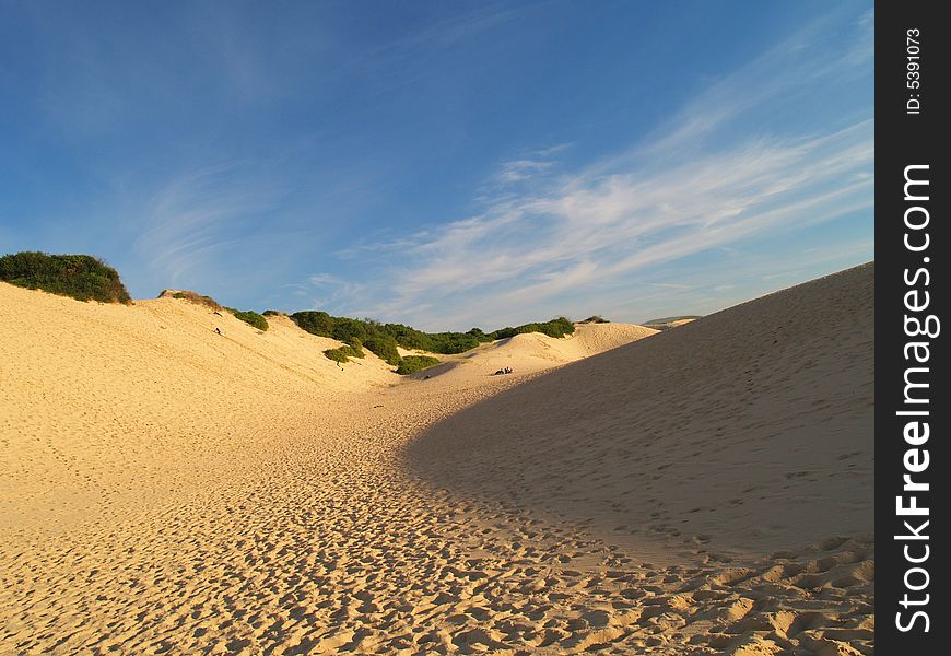 Cronulla Sand Dunes