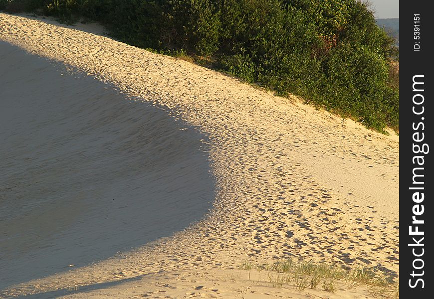 Cronulla sand dunes