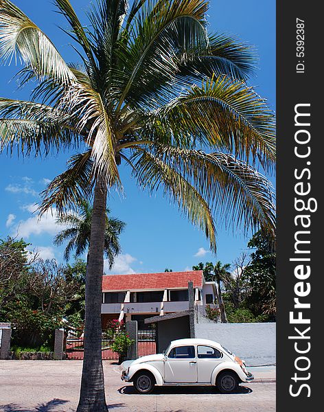 Little 'beetle' car, most popular in Mexico, standing under the palm on a street of San Miguel town on Cozumel island.