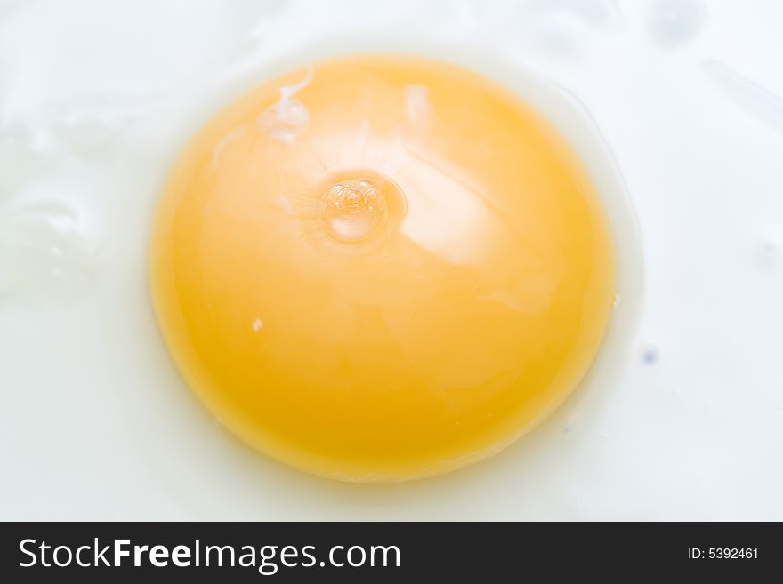 Frying the fresh egg close-up