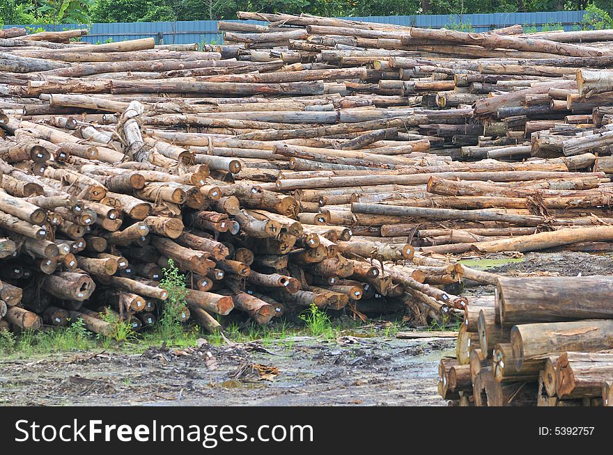 At a timber factory in Asia. At a timber factory in Asia