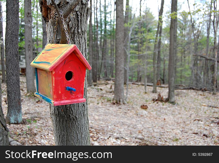 Colorful birdhouse hanging on backyard tree. Colorful birdhouse hanging on backyard tree