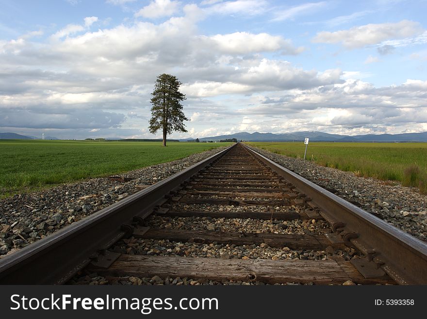 Railroad tracks lead through a farm field in north Idaho. Railroad tracks lead through a farm field in north Idaho.