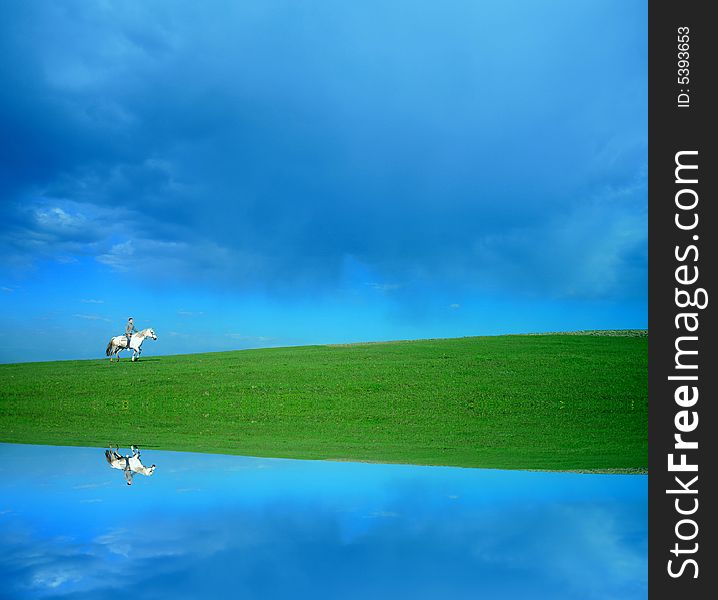 A rider on white horse in the green field