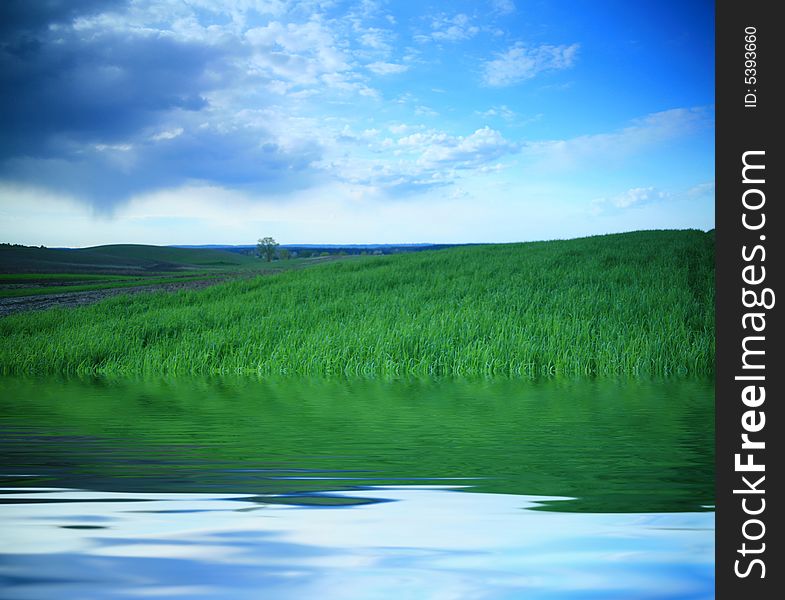 An image of green field and blue sky with clouds