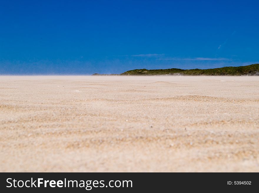 Closed photografy. litle dunes make from the wind, in the beach. Closed photografy. litle dunes make from the wind, in the beach