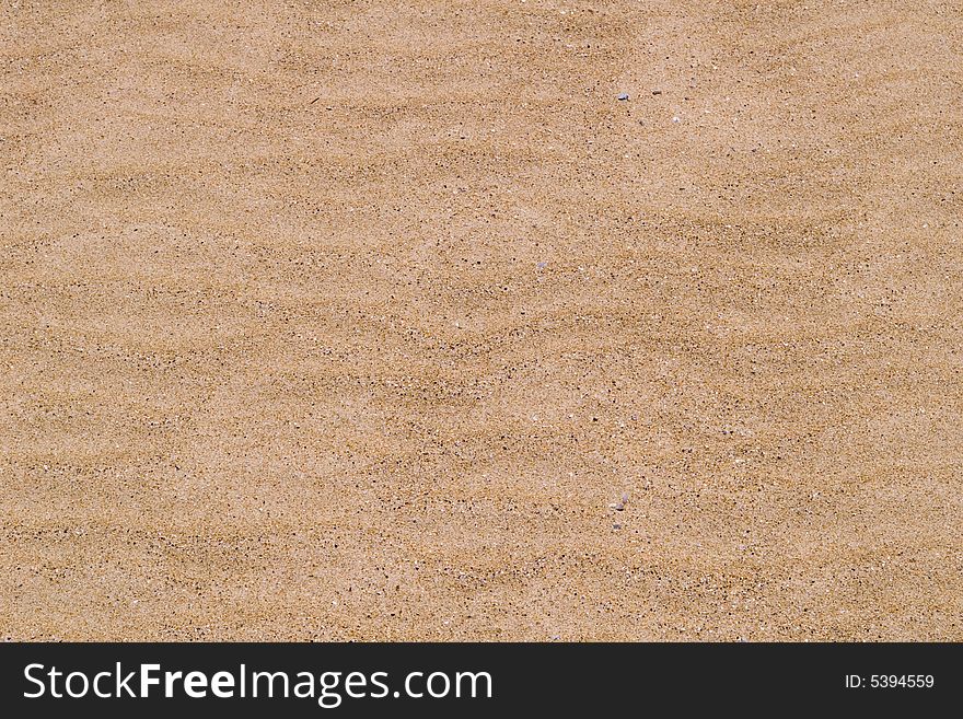 Closed photografy. litle dunes make from the wind, in the beach. Closed photografy. litle dunes make from the wind, in the beach