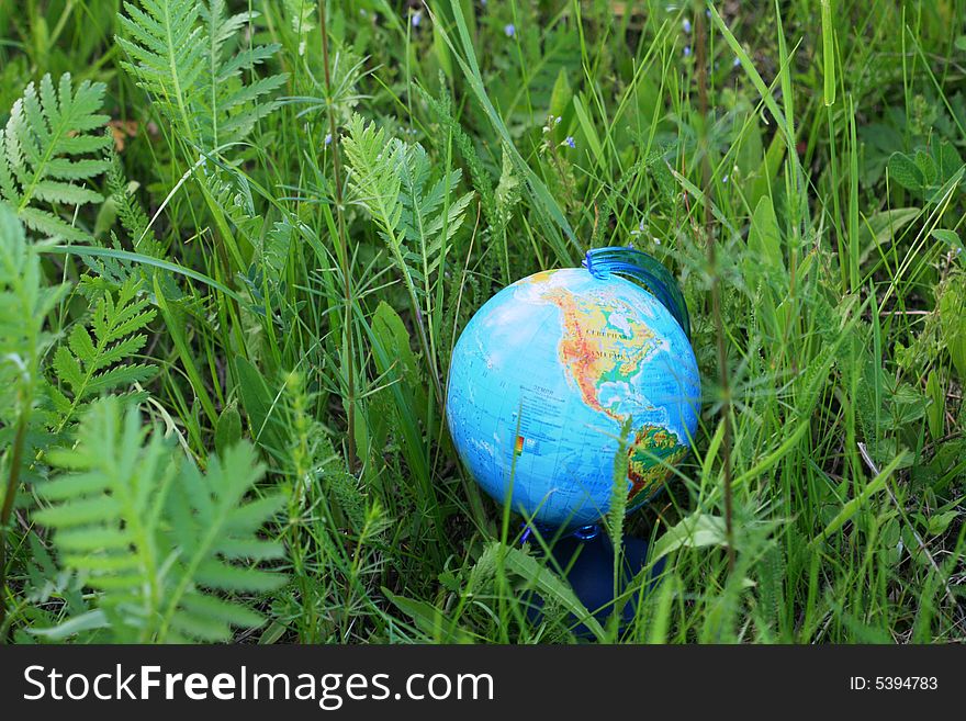 The Globe In A Grass