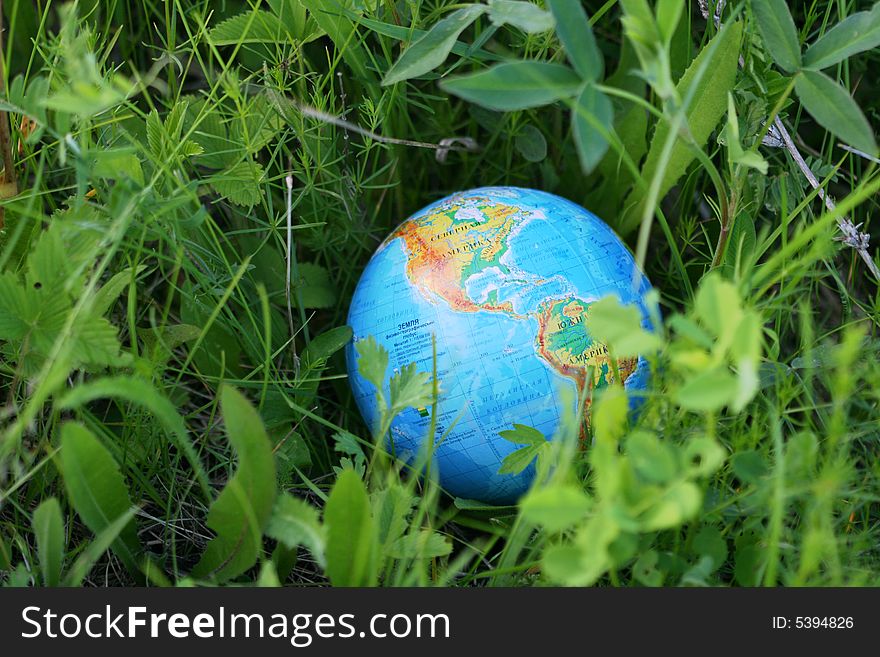 The Globe In A Grass