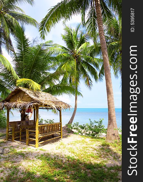 View of nice tropical empty sandy beach with some palm. View of nice tropical empty sandy beach with some palm