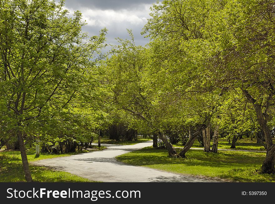 Photo of trees and footpath lighted by sun shunning though storm clouds