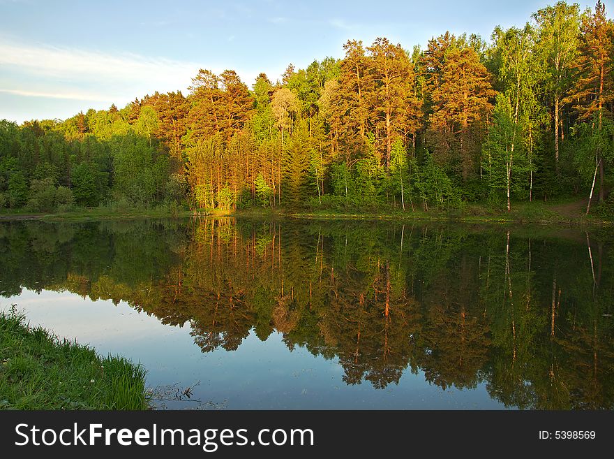 Lake in the forest in evening sun light