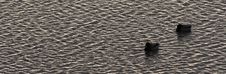 Ripples Royalty Free Stock Image