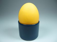 Yellow Easter Egg In A Blue Cup Stock Images Yellow Easter Egg In A Blue Cup Stock Images