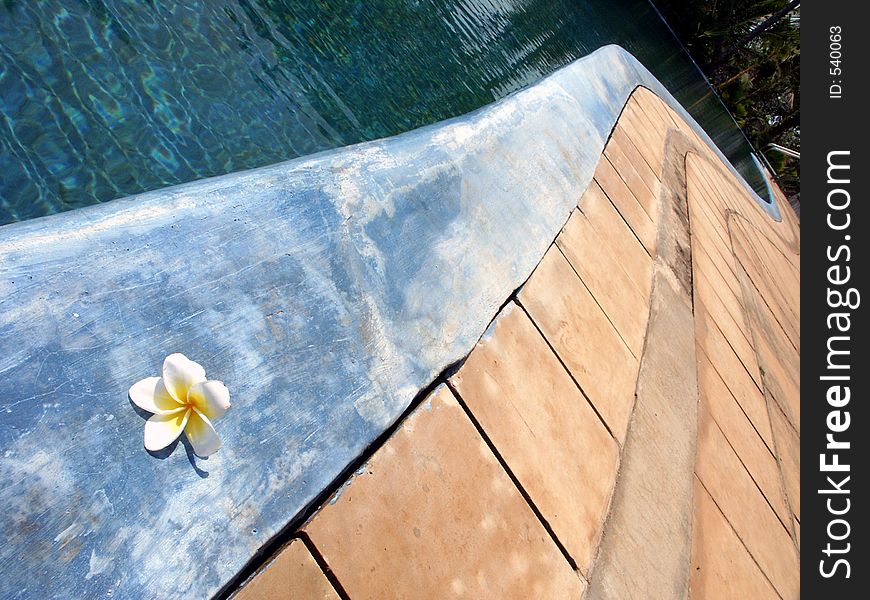 Detail of a tropical swimming pool. Detail of a tropical swimming pool