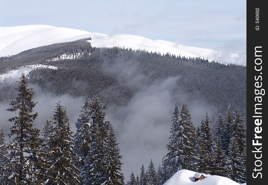 Beautiful area mountains with strong pines. Beautiful area mountains with strong pines