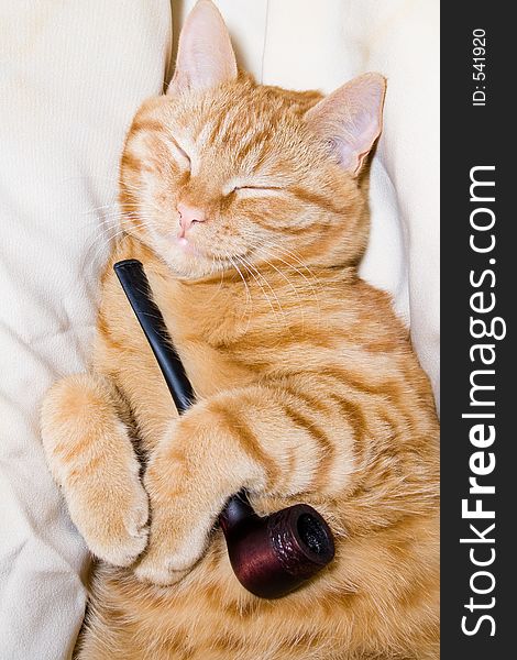 Redhead cat with pipe