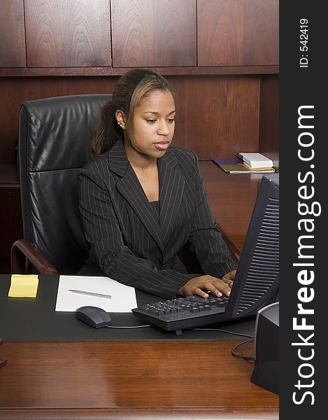 Young business woman working on the computer. Young business woman working on the computer