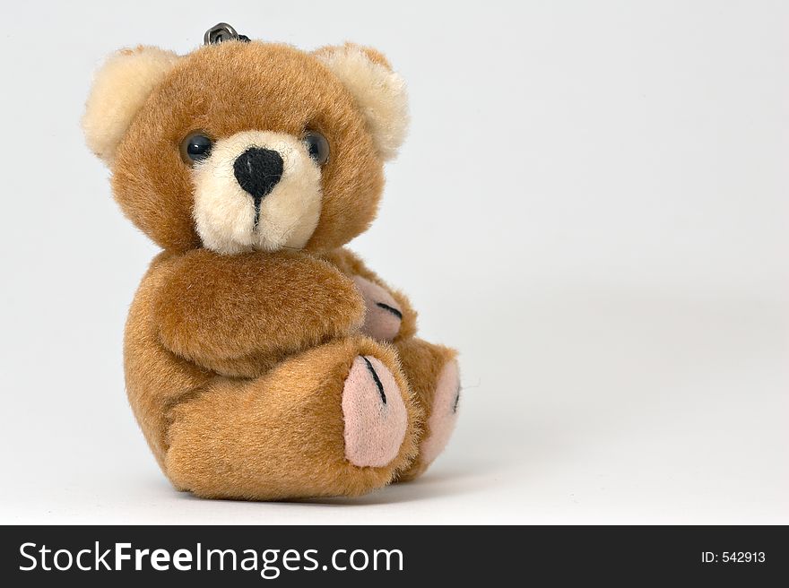 Teddy Bear Keyring