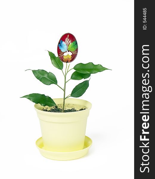 Easter egg growing on the potted plant. Easter egg growing on the potted plant