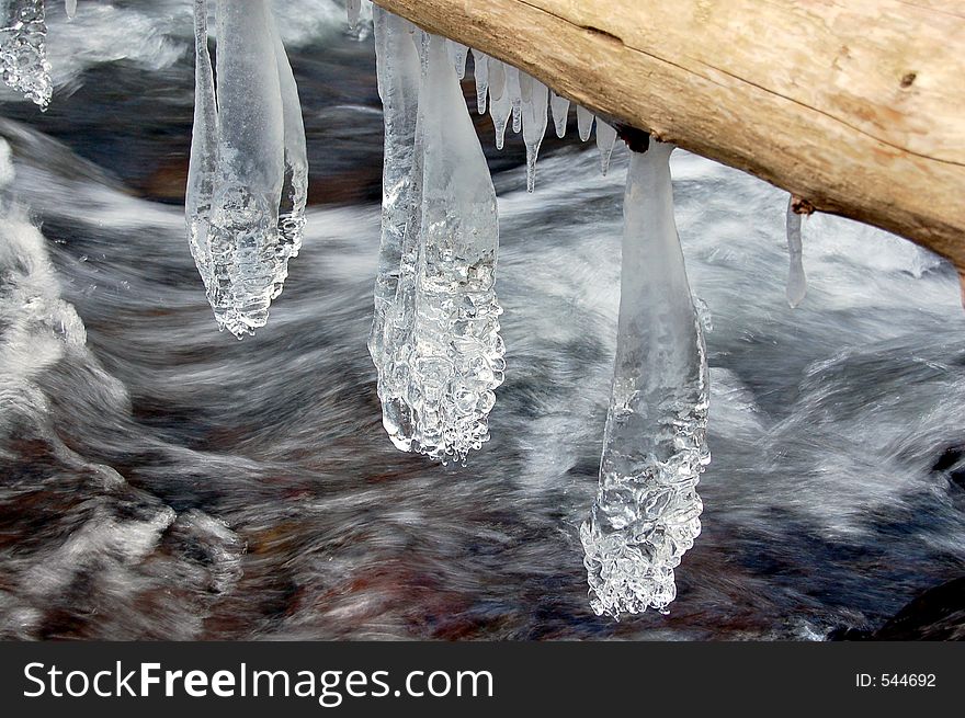 Icicles hanging from log acrossed the creek.