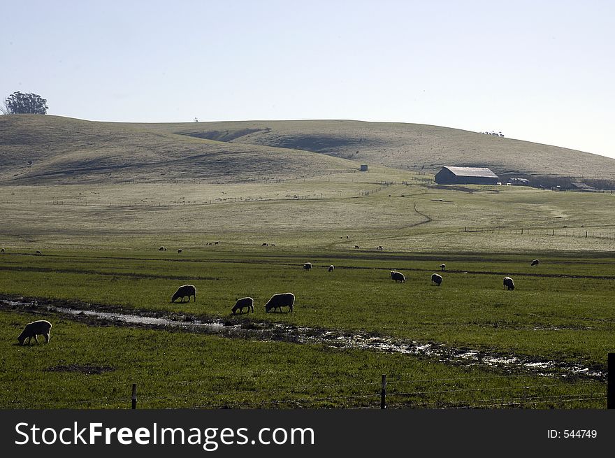 Rolling hills and farmland in Sonoma county. Rolling hills and farmland in Sonoma county