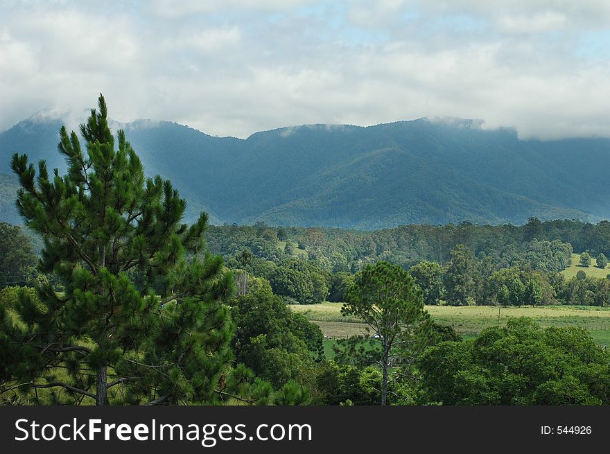 Fertile landscape located in the countryside of Australia. Fertile landscape located in the countryside of Australia