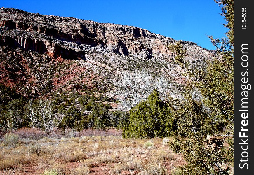 Shots from along New Mexico's Jemez Mountain Trail