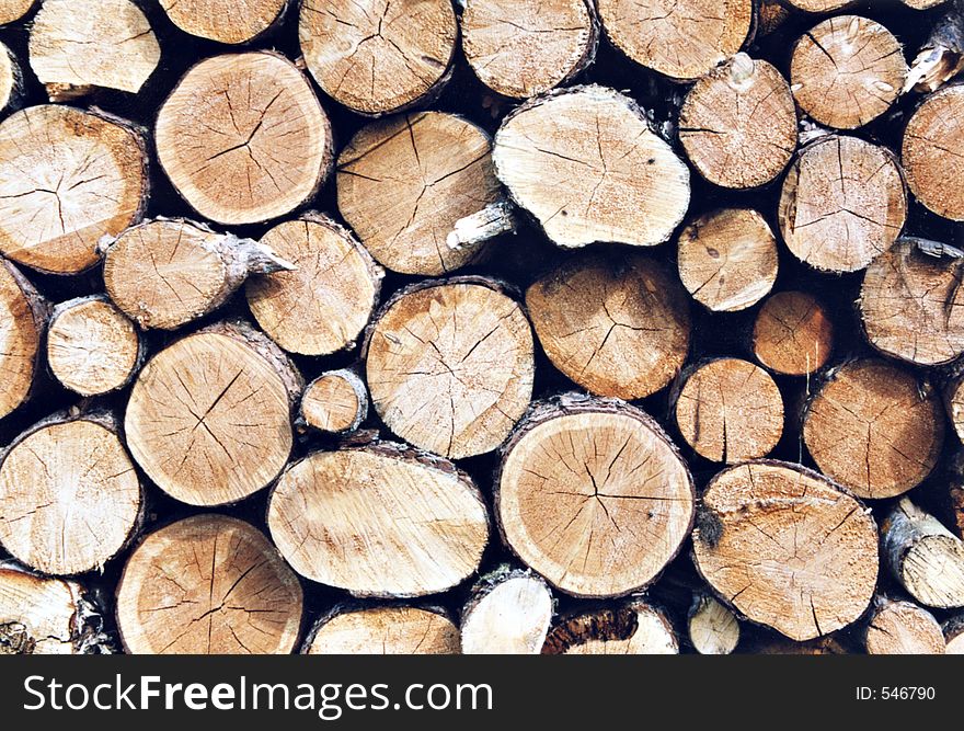 Pile of logs. Pile of logs