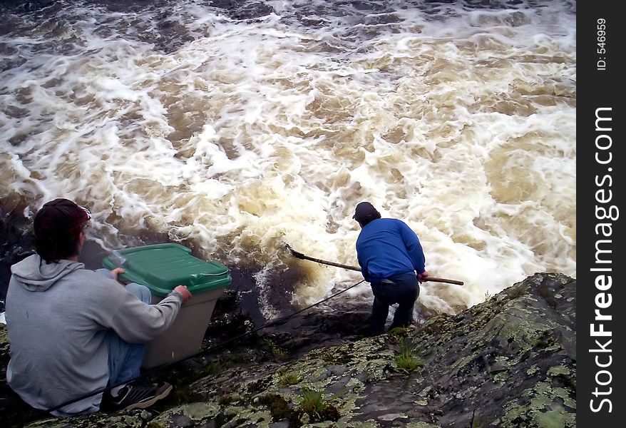 Man fishing dipping gaspereau fish (kiack) with a dipnet gaspereau are a member of the herring family thay migrat up to 3000 KM thay are used for food and bait Indian falls New Germany Lunenburg County Nova Scotia