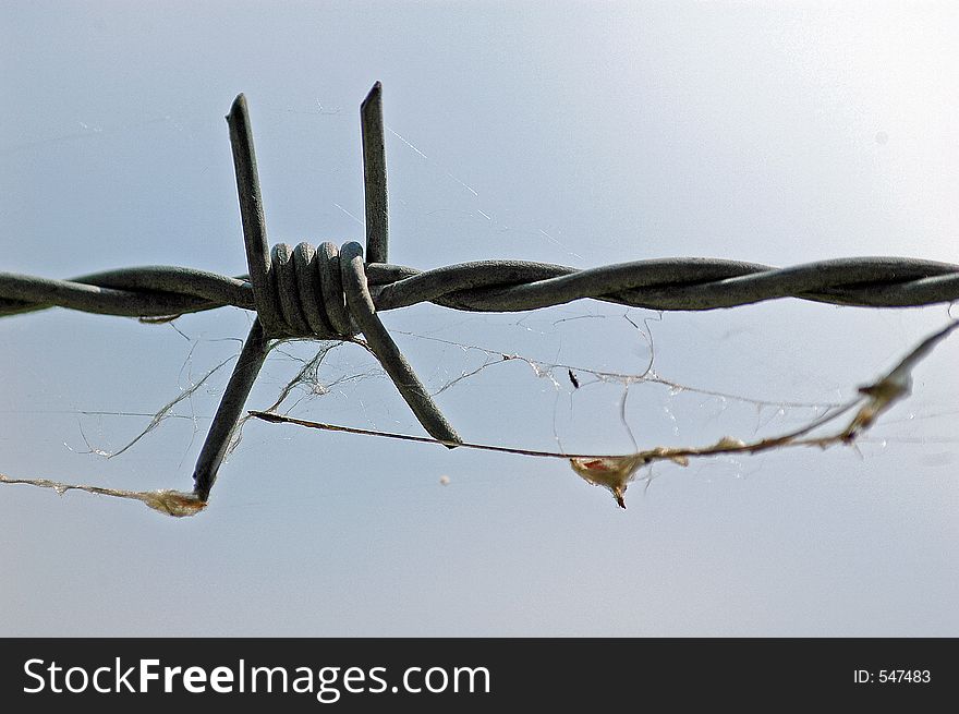 Barb Wire isolated against blue sky