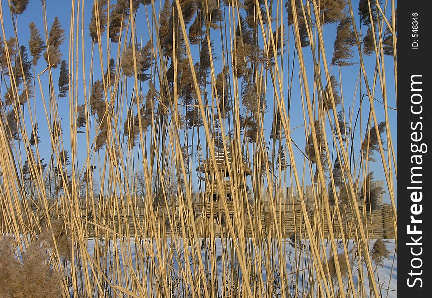 Bronze age settlement of Biskupin (Poland) hidden by the lake grass