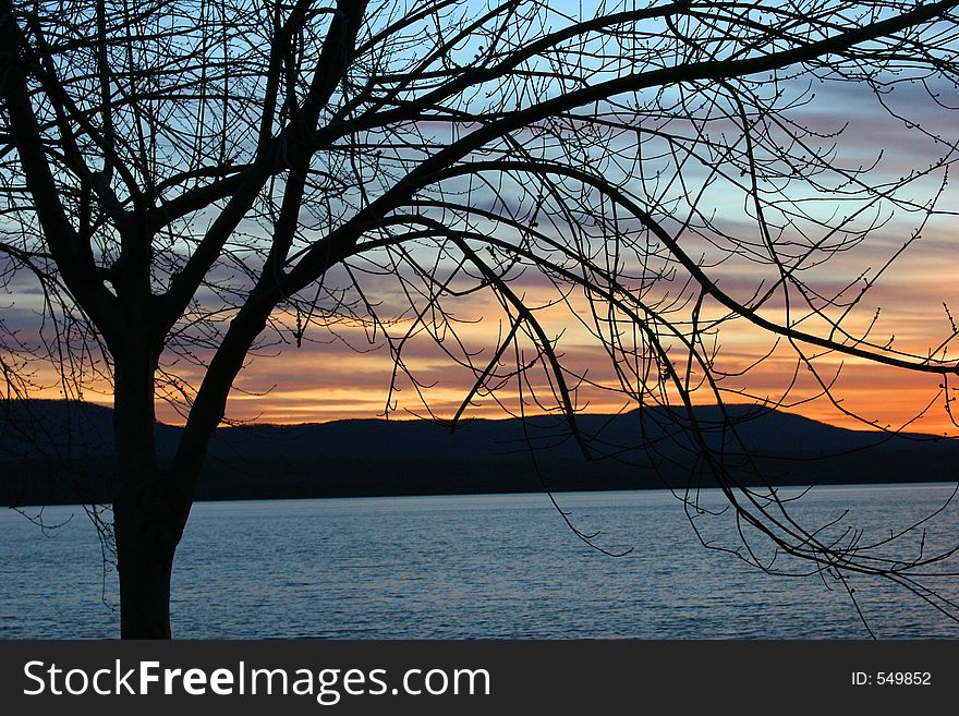 Sunset with silhouette of tree