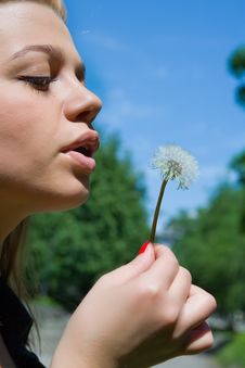 Girl And Dandelion Stock Photo Girl And Dandelion Stock Photo