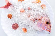 Ice Dorado Royalty Free Stock Image Ice Dorado Royalty Free Stock Image