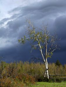 Approaching Storm Clouds Royalty Free Stock Images Approaching Storm Clouds Royalty Free Stock Images