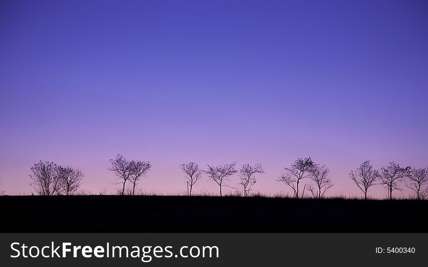 Trees on the horison with sunset in blue sky and dark foreground. Trees on the horison with sunset in blue sky and dark foreground
