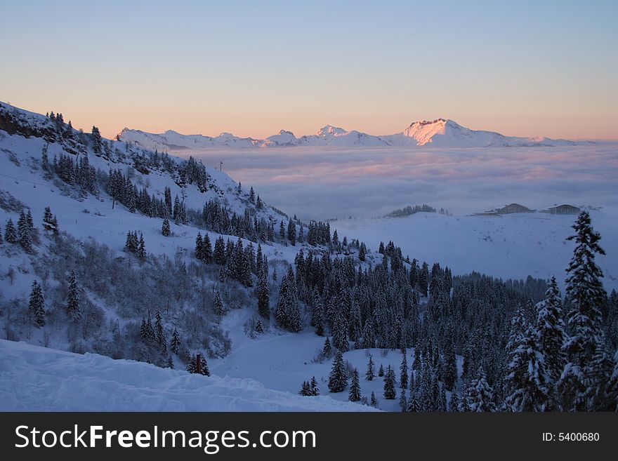 Winter mountain's forest in swiss Alps. Winter mountain's forest in swiss Alps