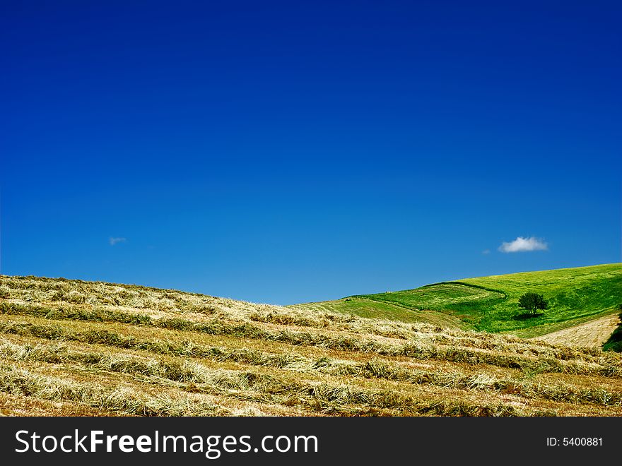 Hay and blue sky in summer landscape