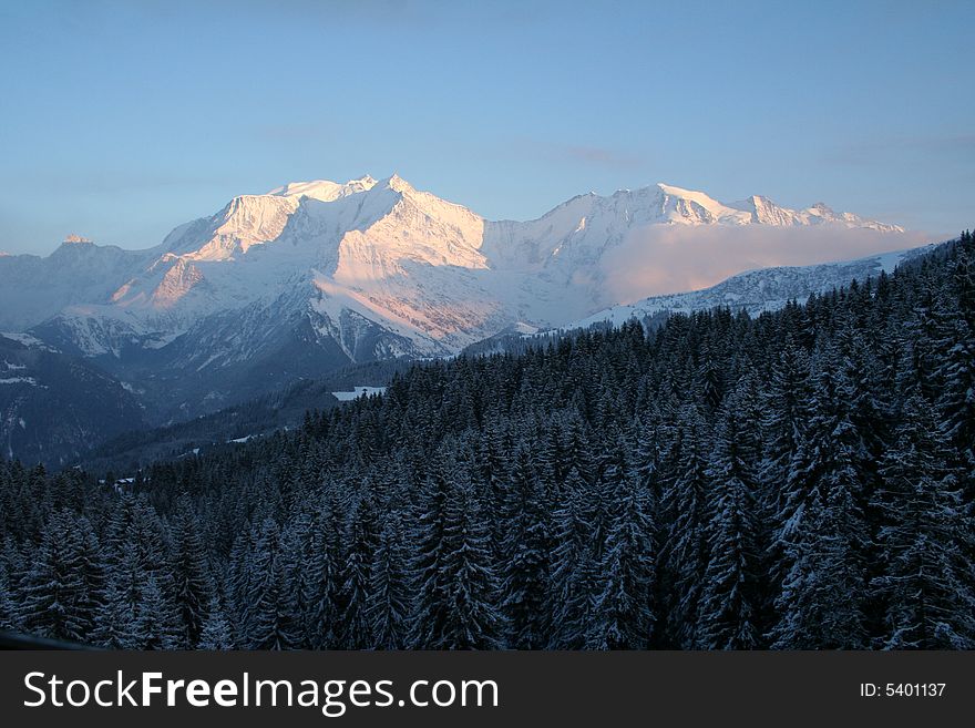 Mont Blanc And Evening Forest