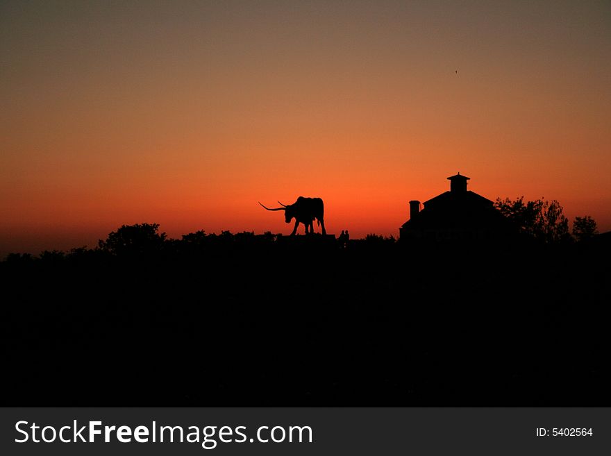 Silhouette of the bull in Rakvere. Estonia